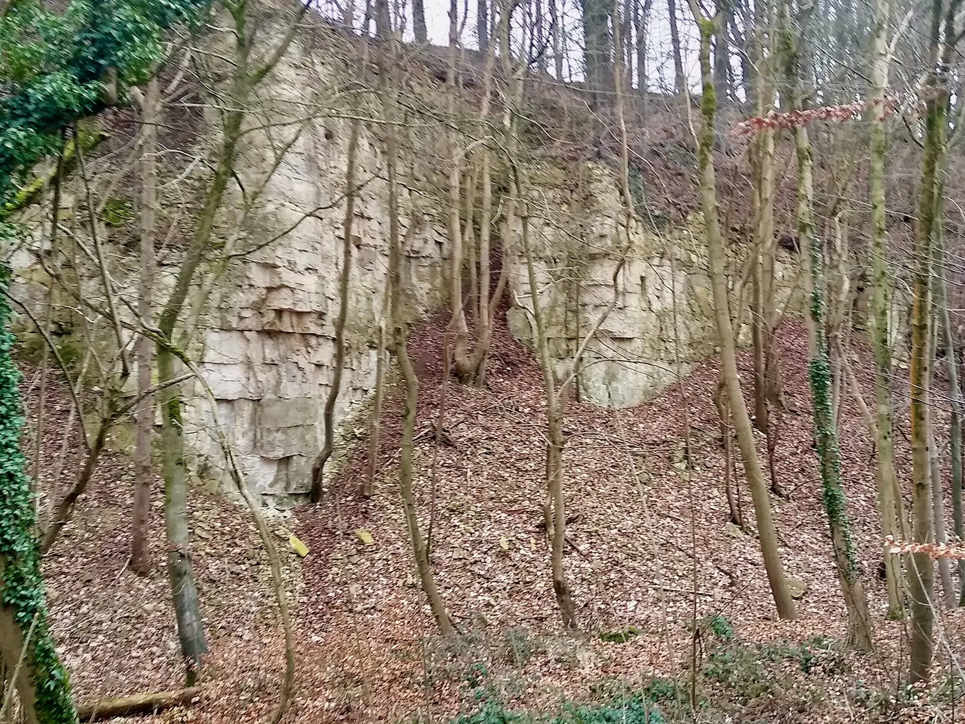 Quarry view: Knap House Quarry, Birdlip, Gloucestershire - 1
