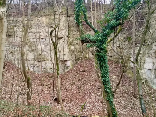 Quarry view: Knap House Quarry, Birdlip, Gloucestershire - 2