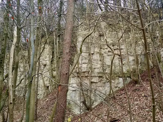 Quarry view: Knap House Quarry, Birdlip, Gloucestershire - 3