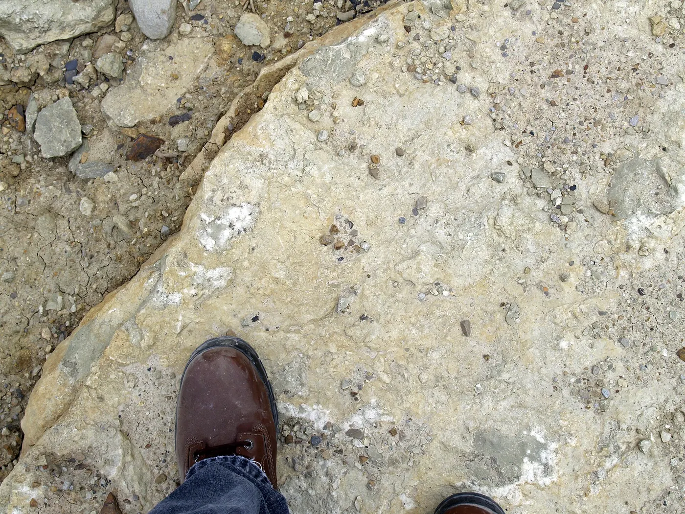 Steinbruchansicht: Maxville Limestone (Mississippian; Pleasant Valley LImestone Quarry, Muskingum County, Ohi