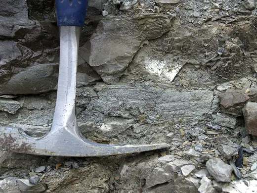 Quarry view: Apparent sandstone layer (Maxville Limestone, Mississippian; Pleasant Valley Limestone Qua