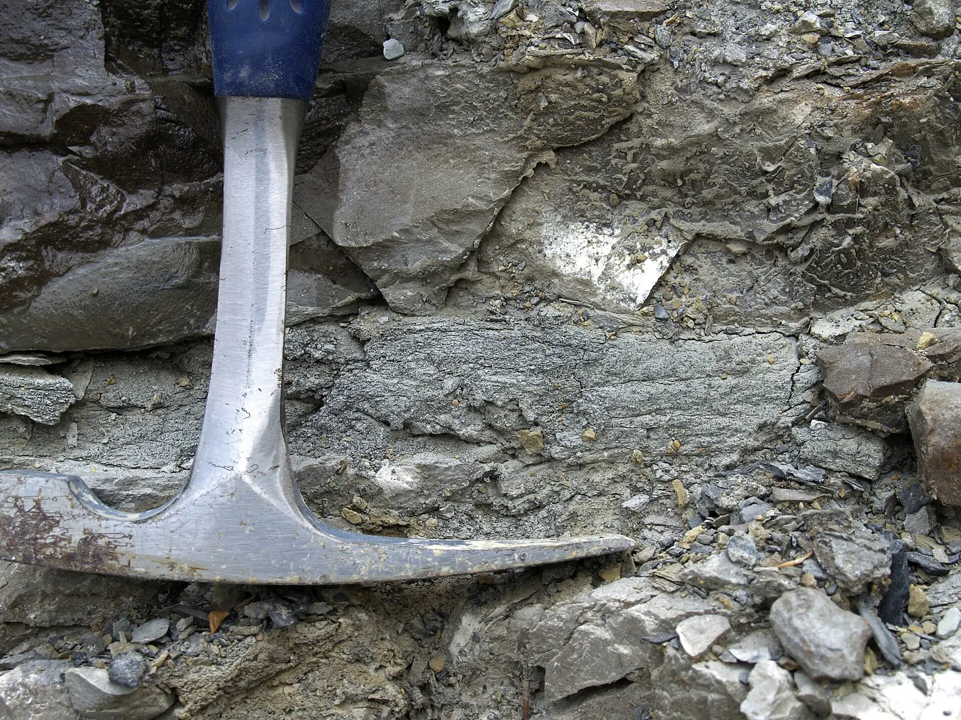 Steinbruchansicht: Apparent sandstone layer (Maxville Limestone, Mississippian; Pleasant Valley Limestone Qua