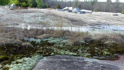 Quarry view: Landscape of the Quarry (5572347226)