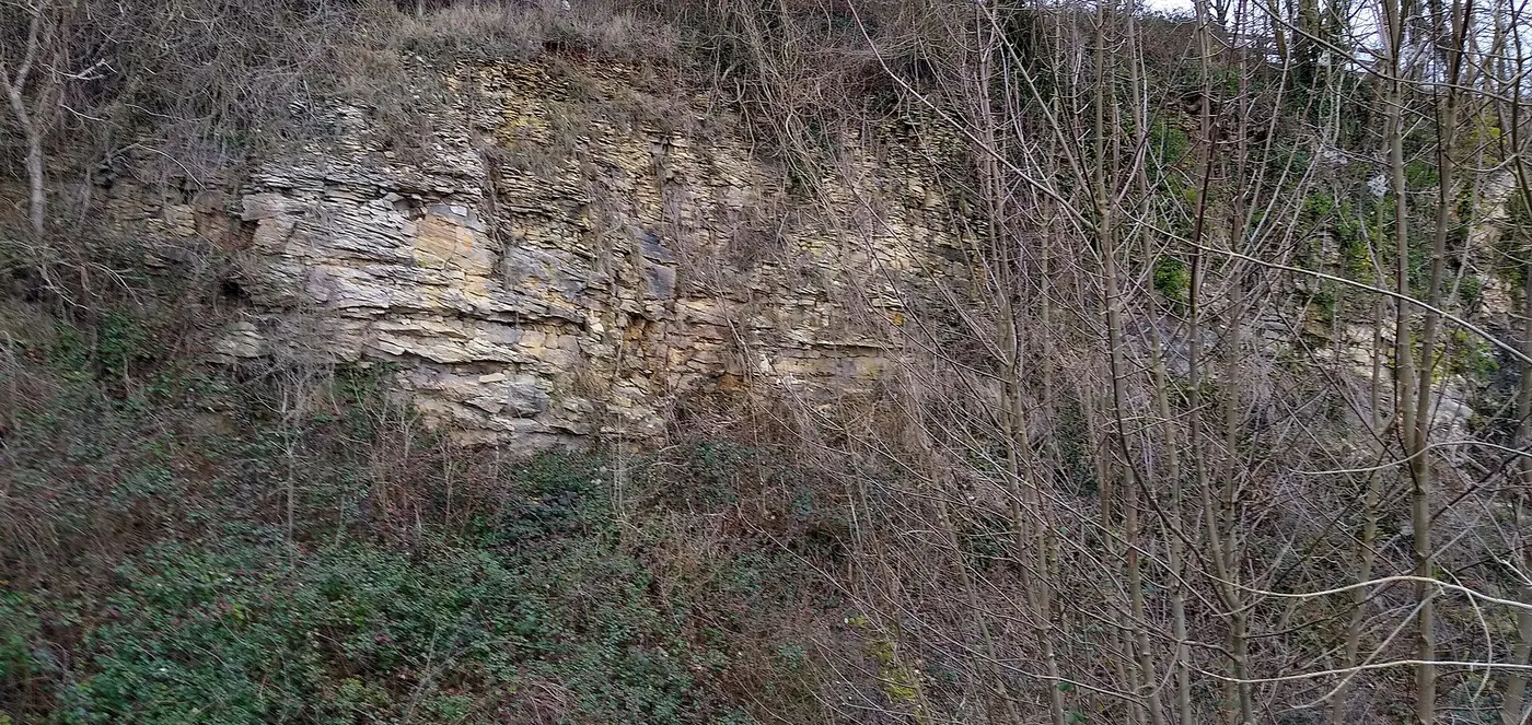 Quarry view: Former quarry, Coaley Peak, Gloucestershire - 1