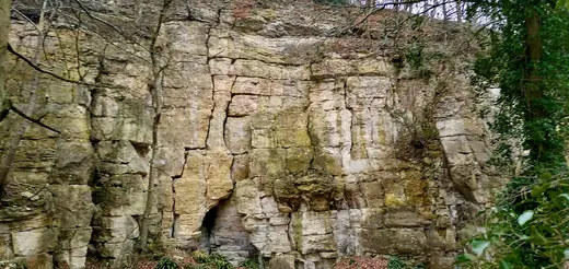 Quarry view: Former quarry, near Crawley Hill, Uley, Gloucestershire - 1