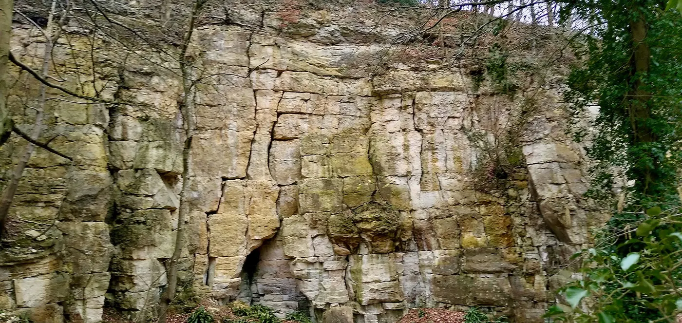 Quarry view: Former quarry, near Crawley Hill, Uley, Gloucestershire - 1