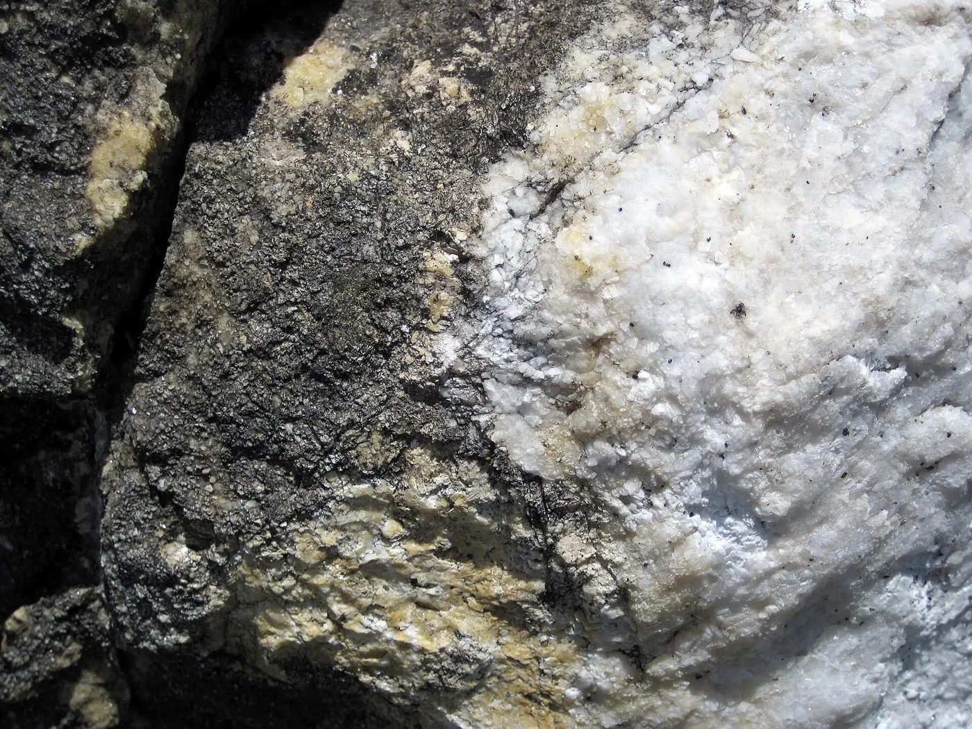Slab surface: Dolomitized marble in marble (Gouverneur Marble, Mesoproterozoic, ~1.1 Ga; Route 11 roadcu