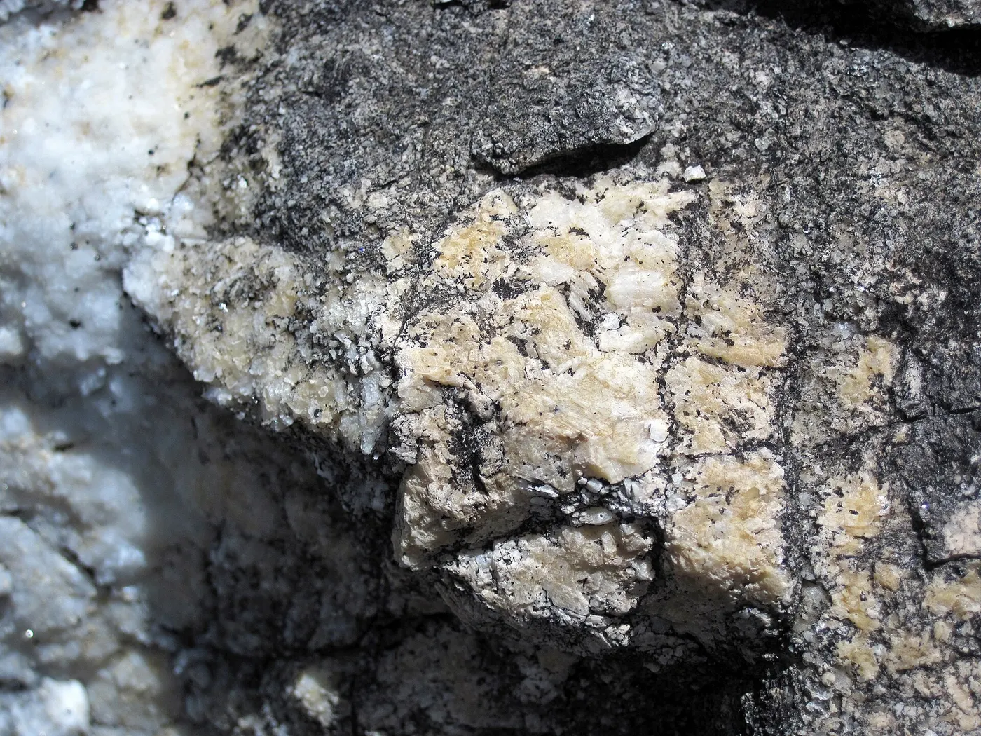 Plattenoberfläche: Dolomitized marble in marble (Gouverneur Marble, Mesoproterozoic, ~1.1 Ga; Route 11 roadcu