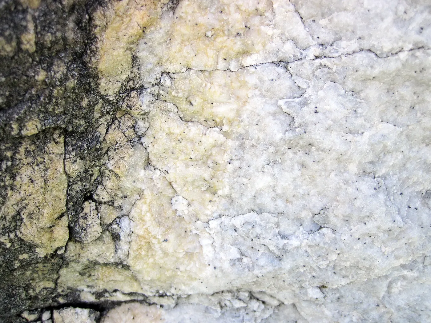 Slab surface: Dolomitized marble in marble (Gouverneur Marble, Mesoproterozoic, ~1.1 Ga; Route 11 roadcu