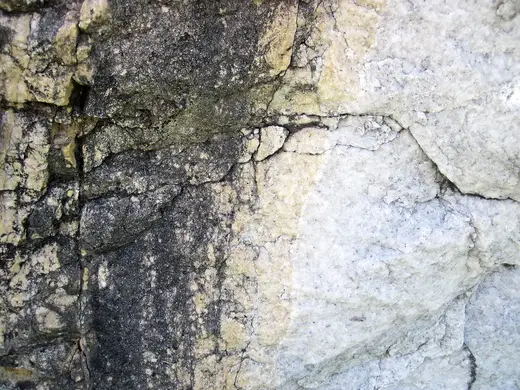 Slab surface: Dolomitized marble in marble (Gouverneur Marble, Mesoproterozoic, ~1.1 Ga; Route 11 roadcu