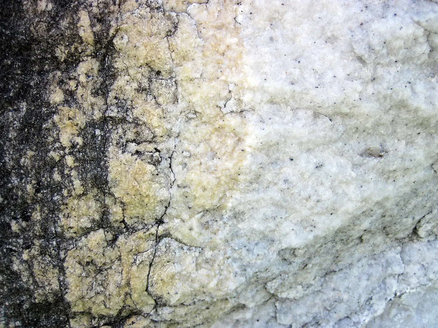 Plattenoberfläche: Dolomitized marble in marble (Gouverneur Marble, Mesoproterozoic, ~1.1 Ga; Route 11 roadcu
