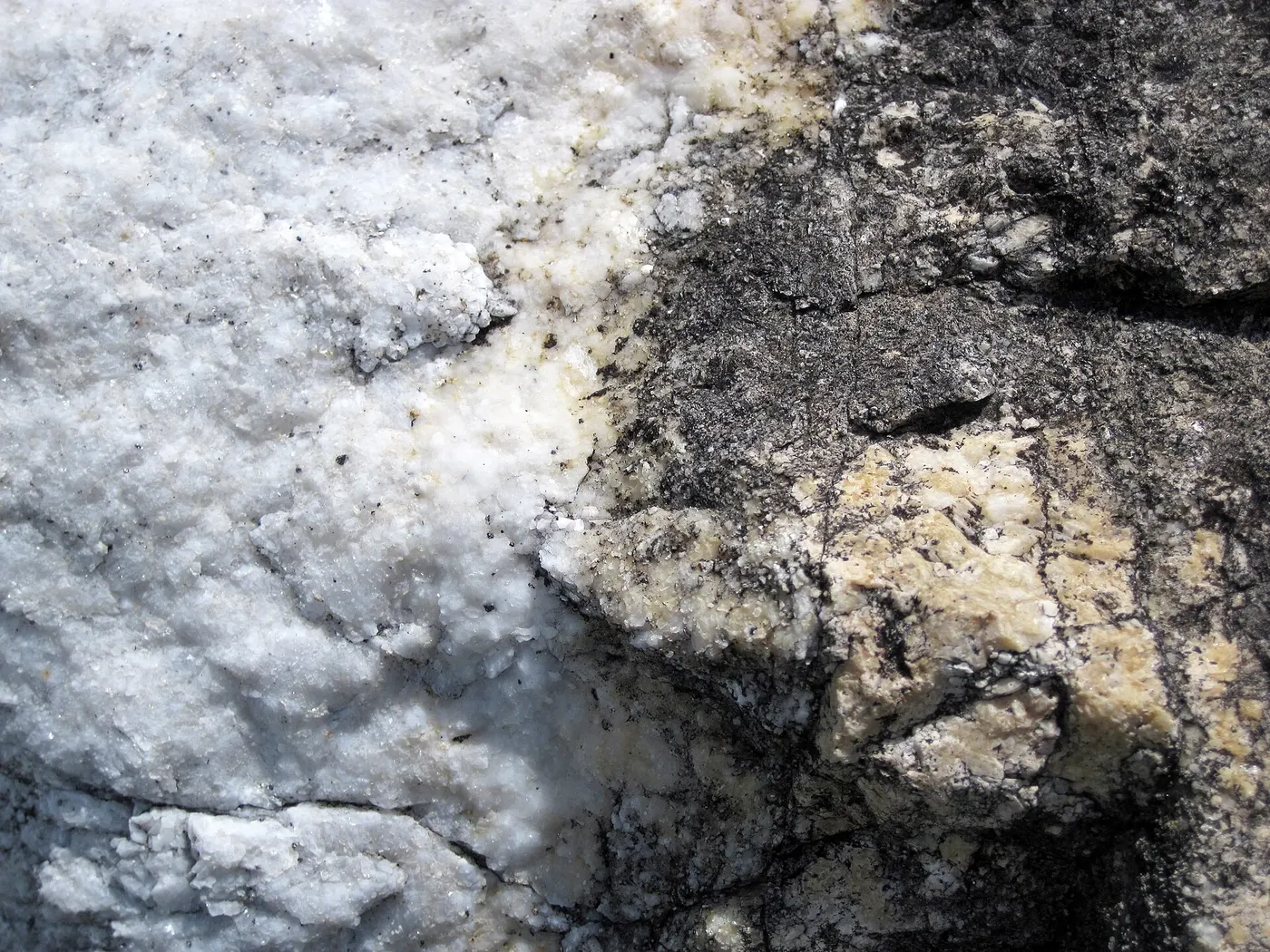 Plattenoberfläche: Dolomitized marble in marble (Gouverneur Marble, Mesoproterozoic, ~1.1 Ga; Route 11 roadcu
