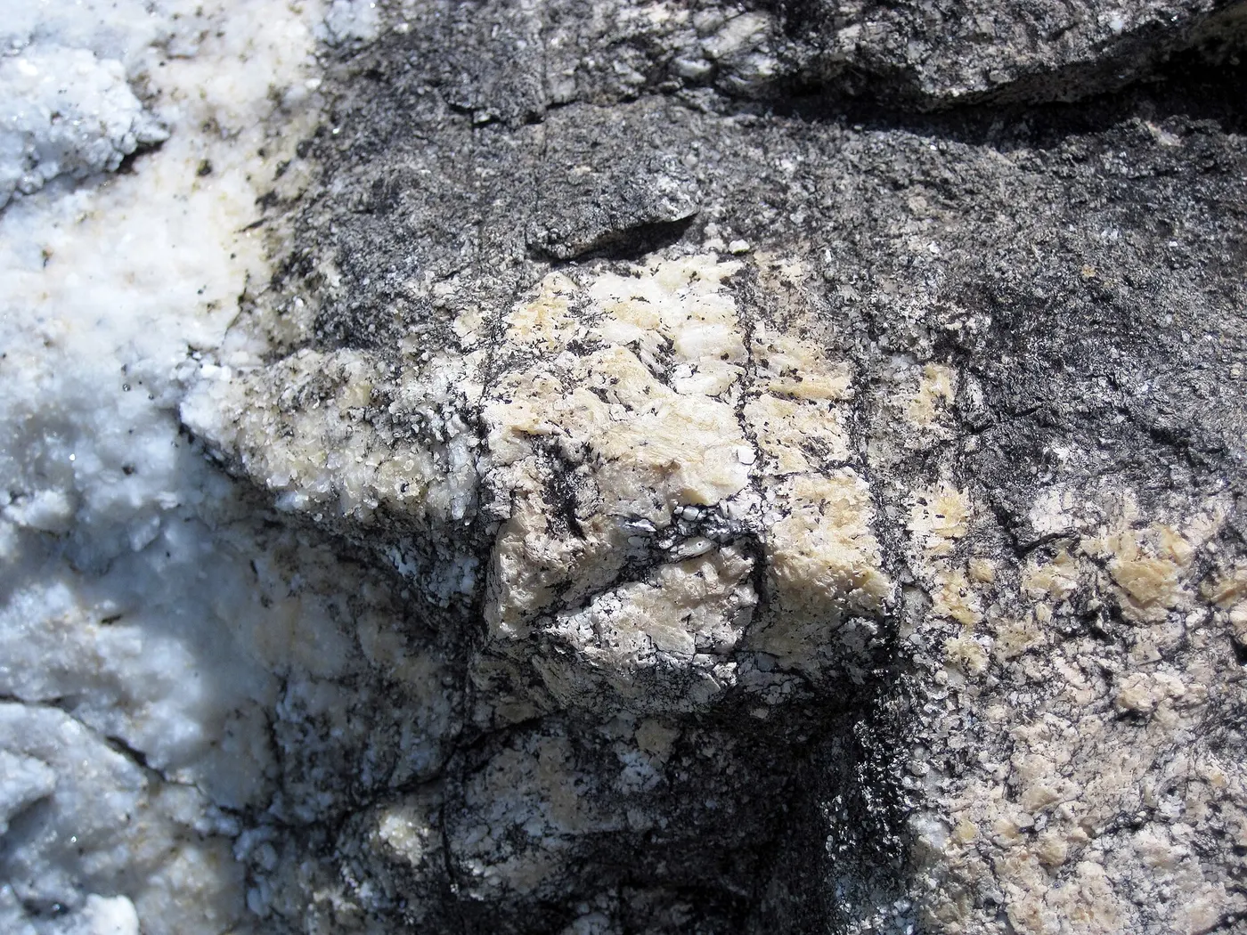 Slab surface: Dolomitized marble in marble (Gouverneur Marble, Mesoproterozoic, ~1.1 Ga; Route 11 roadcu