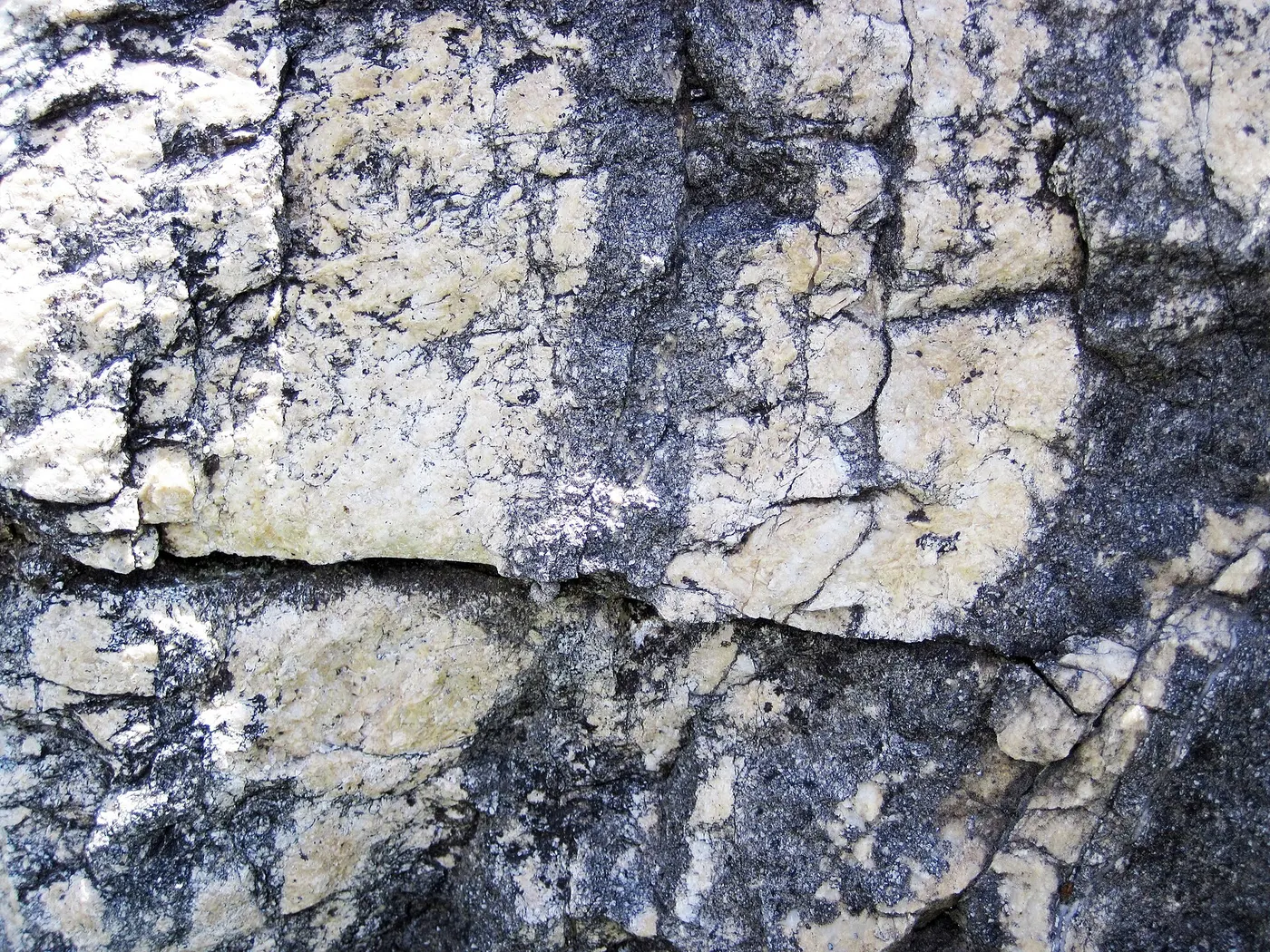Plattenoberfläche: Dolomitized marble in marble (Gouverneur Marble, Mesoproterozoic, ~1.1 Ga; Route 11 roadcu