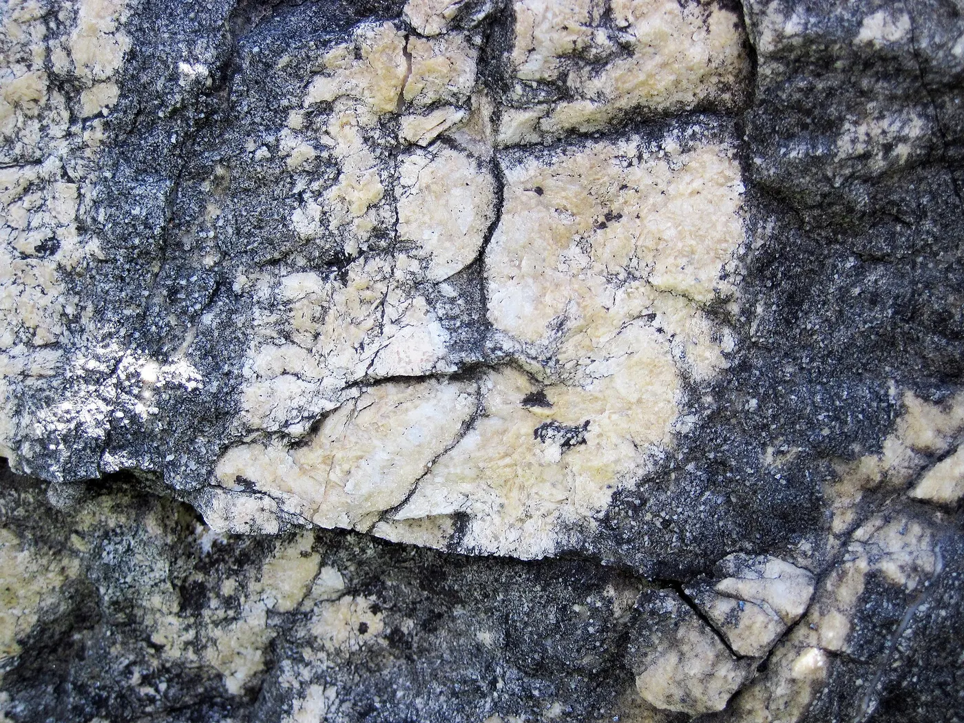 Slab surface: Dolomitized marble in marble (Gouverneur Marble, Mesoproterozoic, ~1.1 Ga; Route 11 roadcu