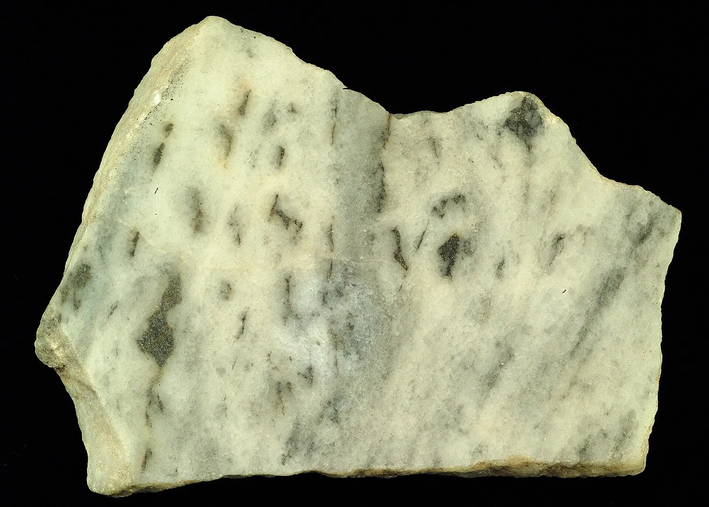 Plattenoberfläche: Marble (cipolino) (GeoDIL number - 722)