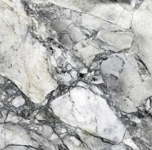 Slab surface: Vermont White Marble (Shelburne Formation, Pennsylvanian metamorphism of Ordovician limest