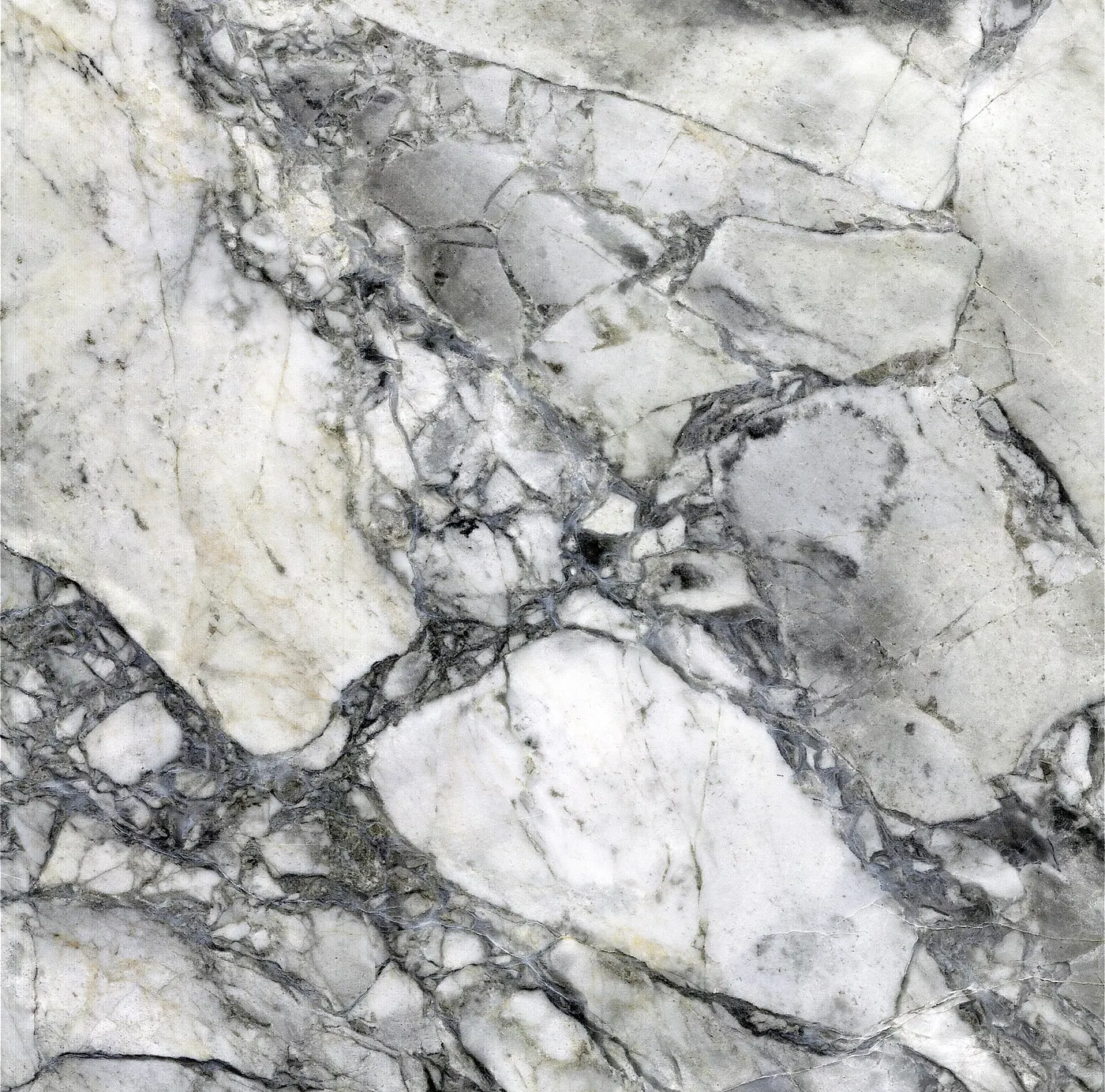 Slab surface: Vermont White Marble (Shelburne Formation, Pennsylvanian metamorphism of Ordovician limest