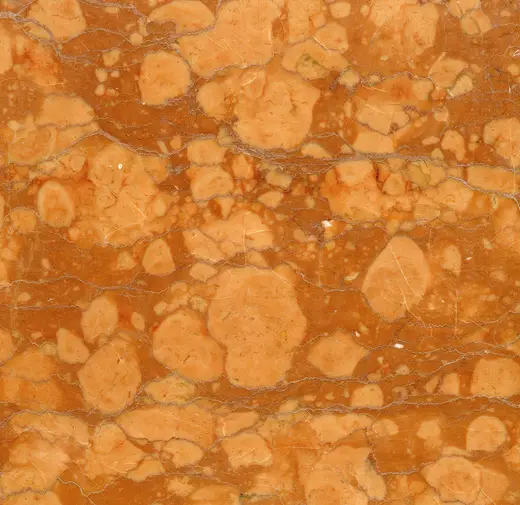 Slab surface: Rosso Verona Marble (Rosso Ammonitico Formation, Upper Jurassic; Verona Province, Venetia 
