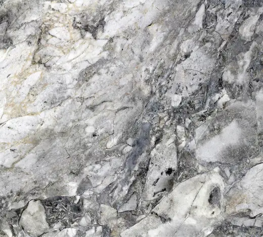 Slab surface: Vermont White Marble (Shelburne Formation, Pennsylvanian metamorphism of Ordovician limest