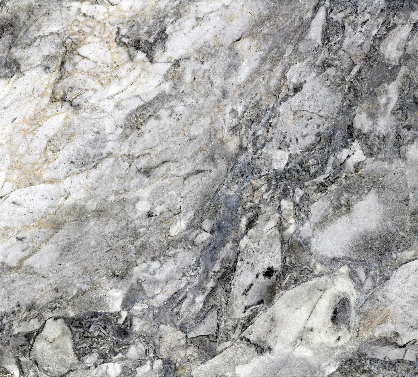 Slab surface: Vermont White Marble (Shelburne Formation, Pennsylvanian metamorphism of Ordovician limest