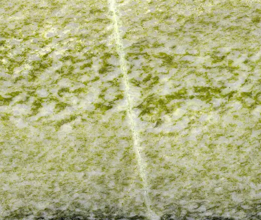 Slab surface: Irish Green Marble (Connemara Marble Formation, Neoproterozoic; Ordovician metamorphism; G