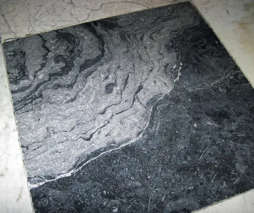 Slab surface: Fossil mound in limestone (Champlain Black Marble) (Crown Point Limestone, Middle Ordovici