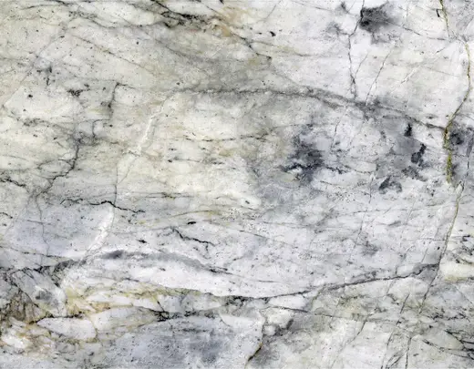 Slab surface: Vermont White Marble (Shelburne Formation, Pennsylvanian metamorphism of Ordovician limest