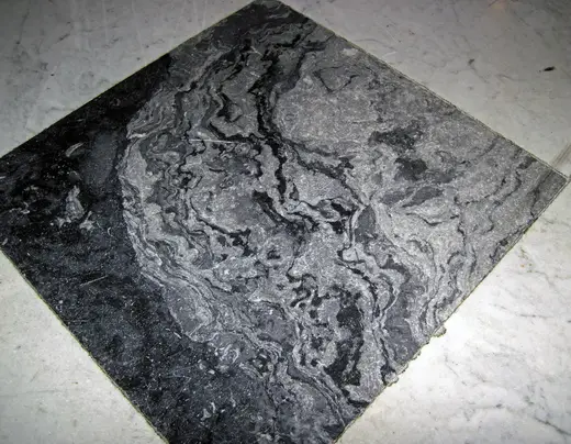 Slab surface: Fossil mound in limestone (Champlain Black Marble) (Crown Point Limestone, Middle Ordovici