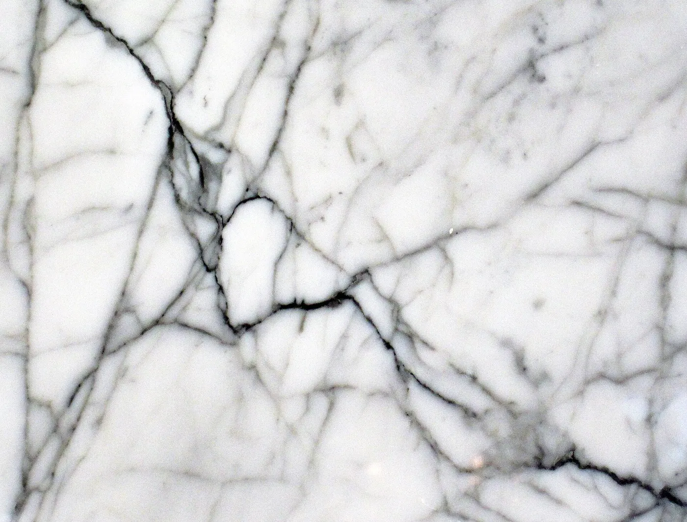 Plattenoberfläche: Statuarietto White Marble (Apuan Marble Formation, Tertiary metamorphism of Jurassic limes