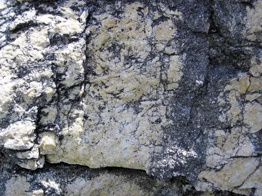 Slab surface: Dolomitized marble in marble (Gouverneur Marble, Mesoproterozoic, ~1.1 Ga; Route 11 roadcu