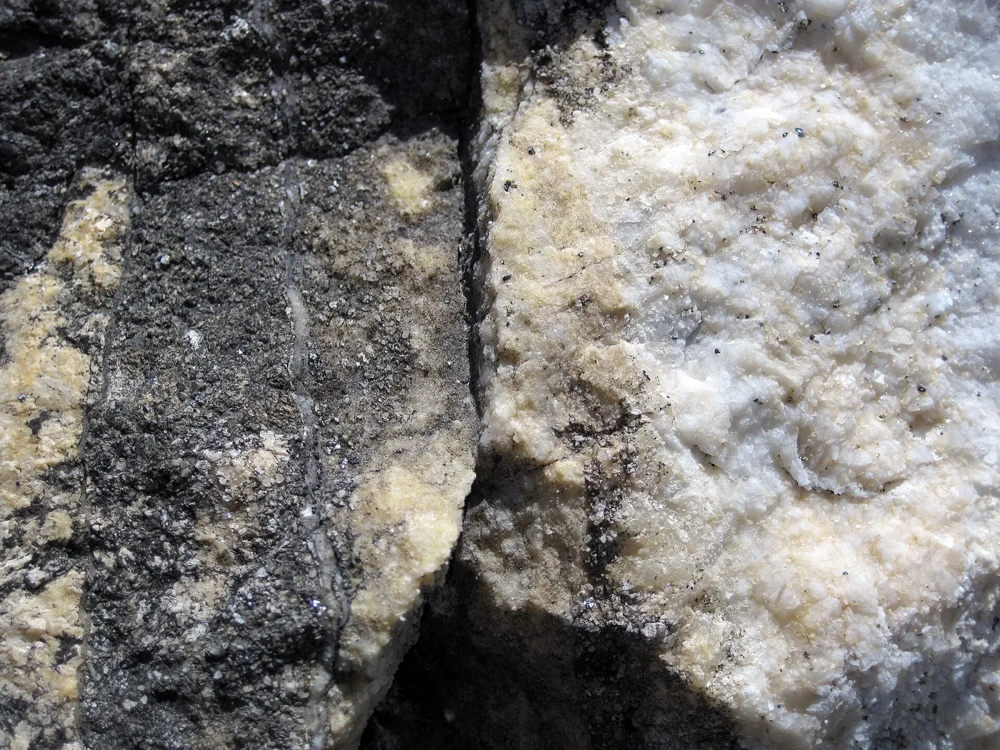 Slab surface: Dolomitized marble in marble (Gouverneur Marble, Mesoproterozoic, ~1.1 Ga; Route 11 roadcu