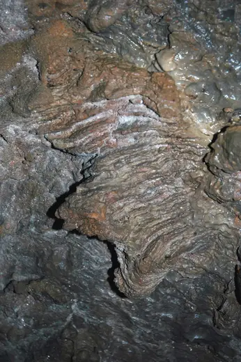 Wall cladding: 129 Stromatoporoid wall 23