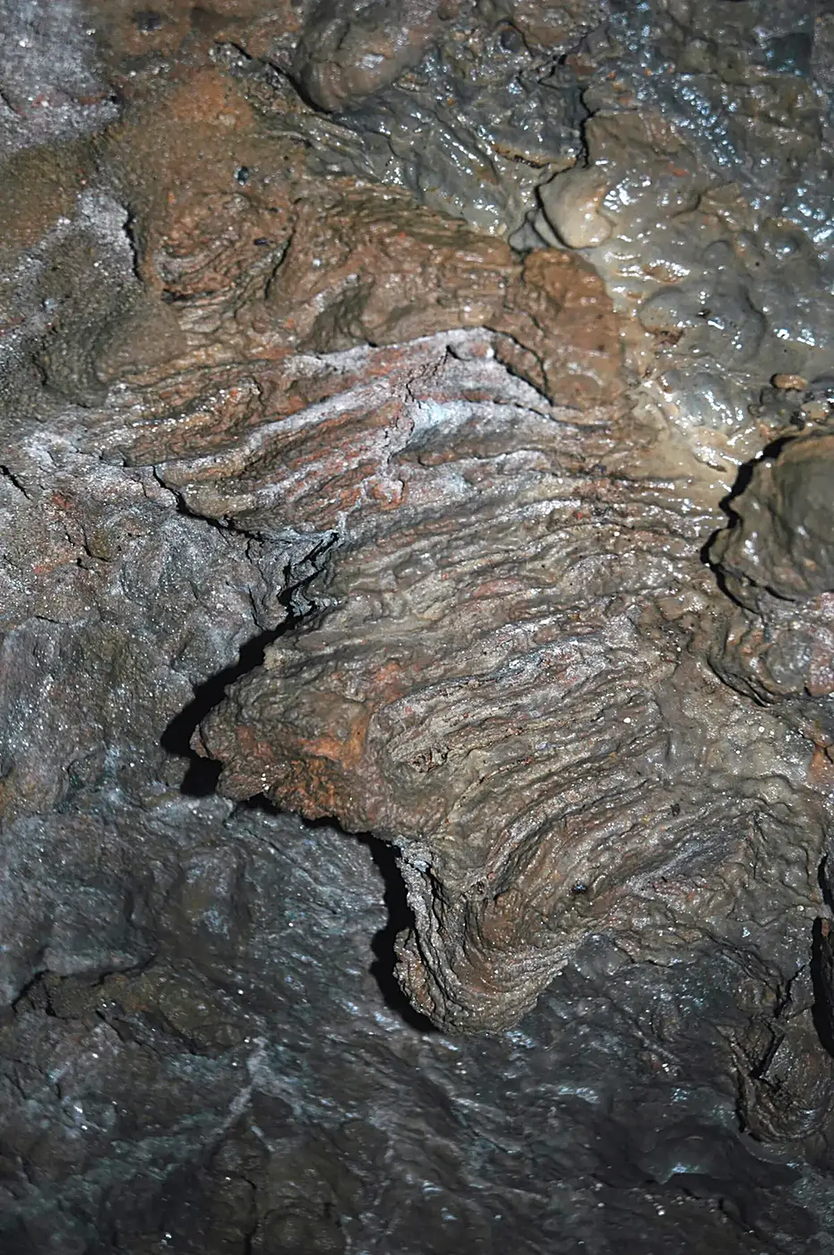 Wall cladding: 129 Stromatoporoid wall 23