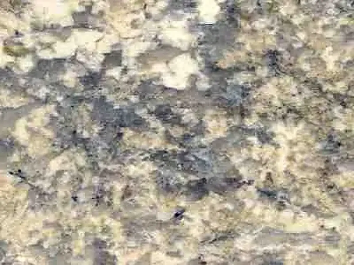 Giallita Dark granite polished sample – Marmi di Carrara – grey, beige (1)