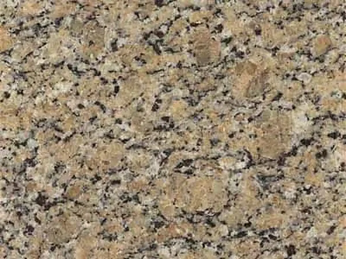 Giallo Sta. Helena granite polished sample – Marmi di Carrara – grey, green (1)