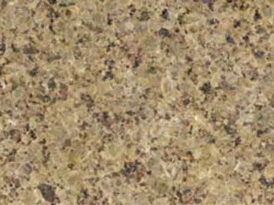 Golden Leaf granito, campione lucido – Marmi di Carrara – marrone, verde (1)