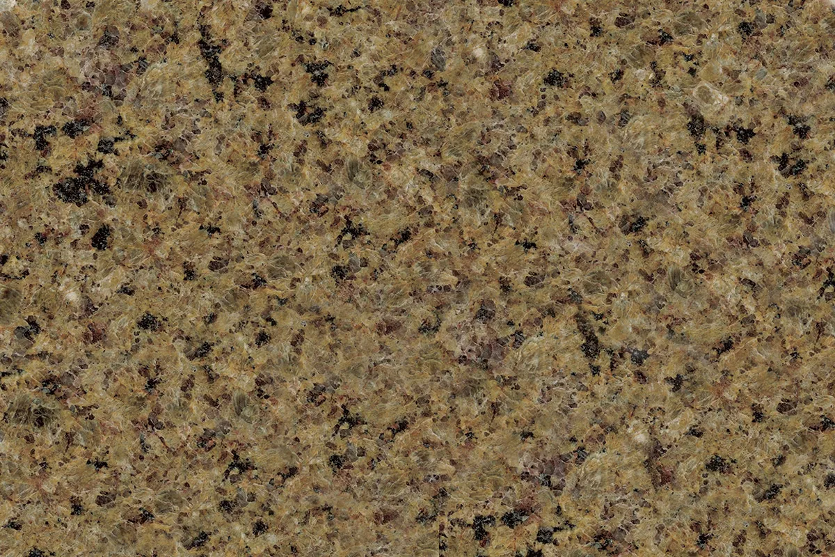 Golden Leaf granito, campione lucido – Marmi di Carrara – marrone, verde (1)