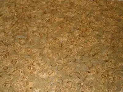 Golden Vinhal granite