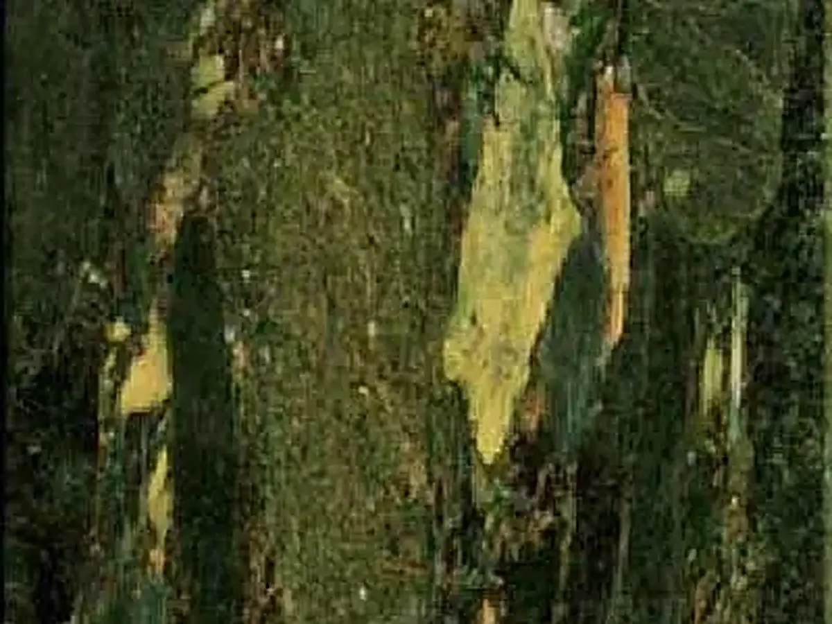 Green Breccia MNA Granit, polierte Probe – Marmi di Carrara – schwarz, anthrazit (1)