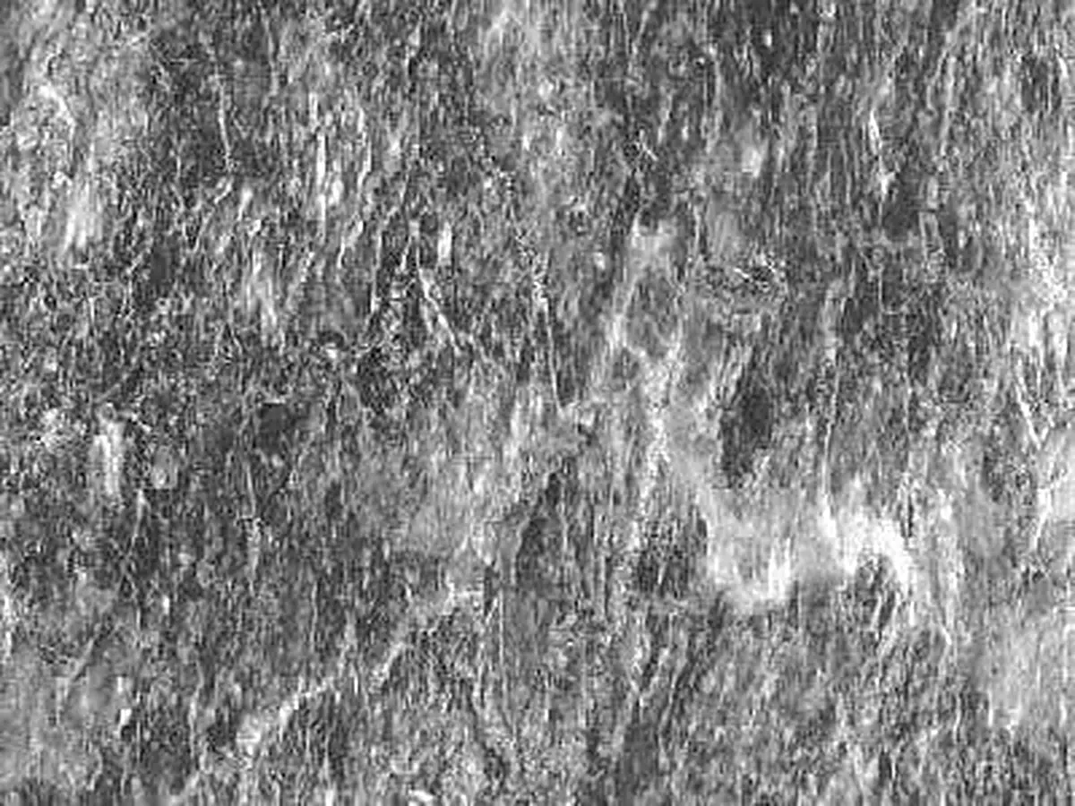Grey of Aliveri limestone polished sample – Marmi di Carrara – grey, light grey (1)