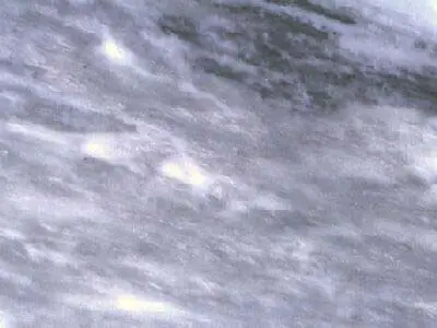 Grey of Tranovaltos marble polished sample – Marmi di Carrara – light grey, grey (1)