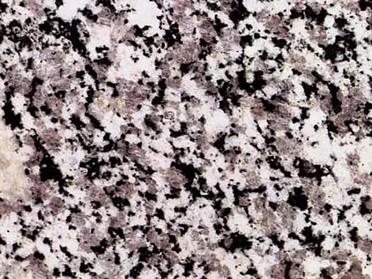 Grigio Malaga granit, échantillon poli – Marmi di Carrara – gris, anthracite (1)