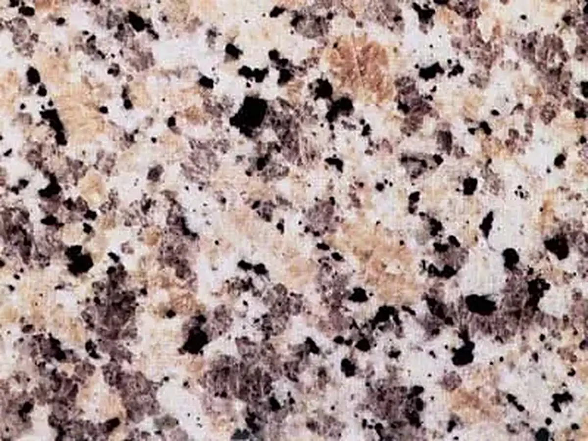 Grigio Sardo Champagne гранит, полированный образец – Marmi di Carrara – серый, розовый (1)
