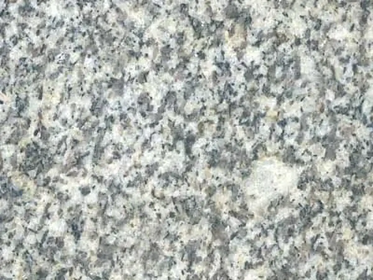 Gris Alba granite polished sample – Marmi di Carrara – light grey, grey (1)