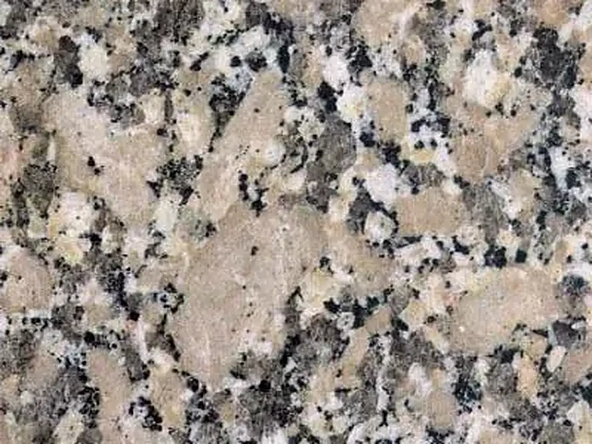 Gris Mondariz granito, muestra pulida – Marmi di Carrara – beige, gris (1)