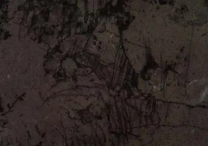 Gris Motrico limestone
