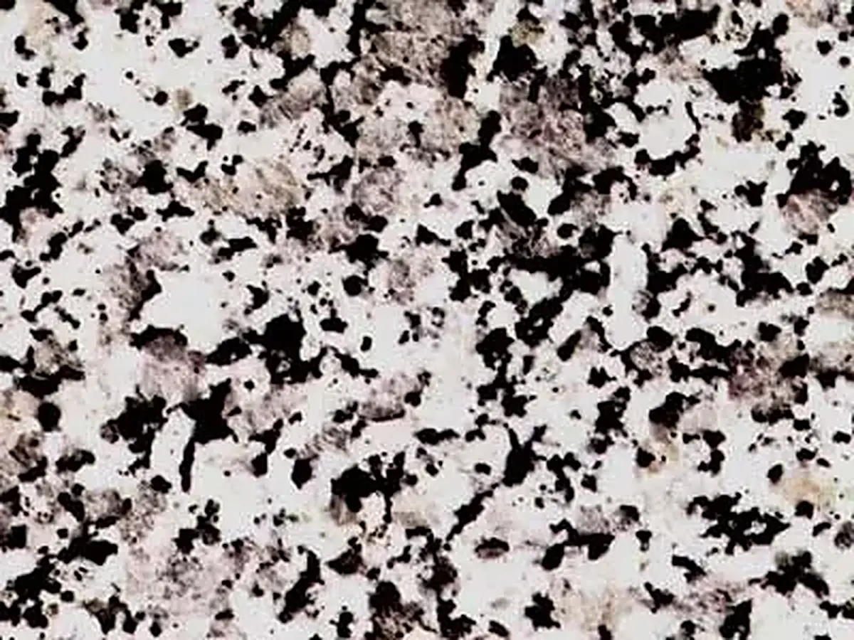 Gris Perla granite polished sample – Marmi di Carrara – grey, ivory (1)