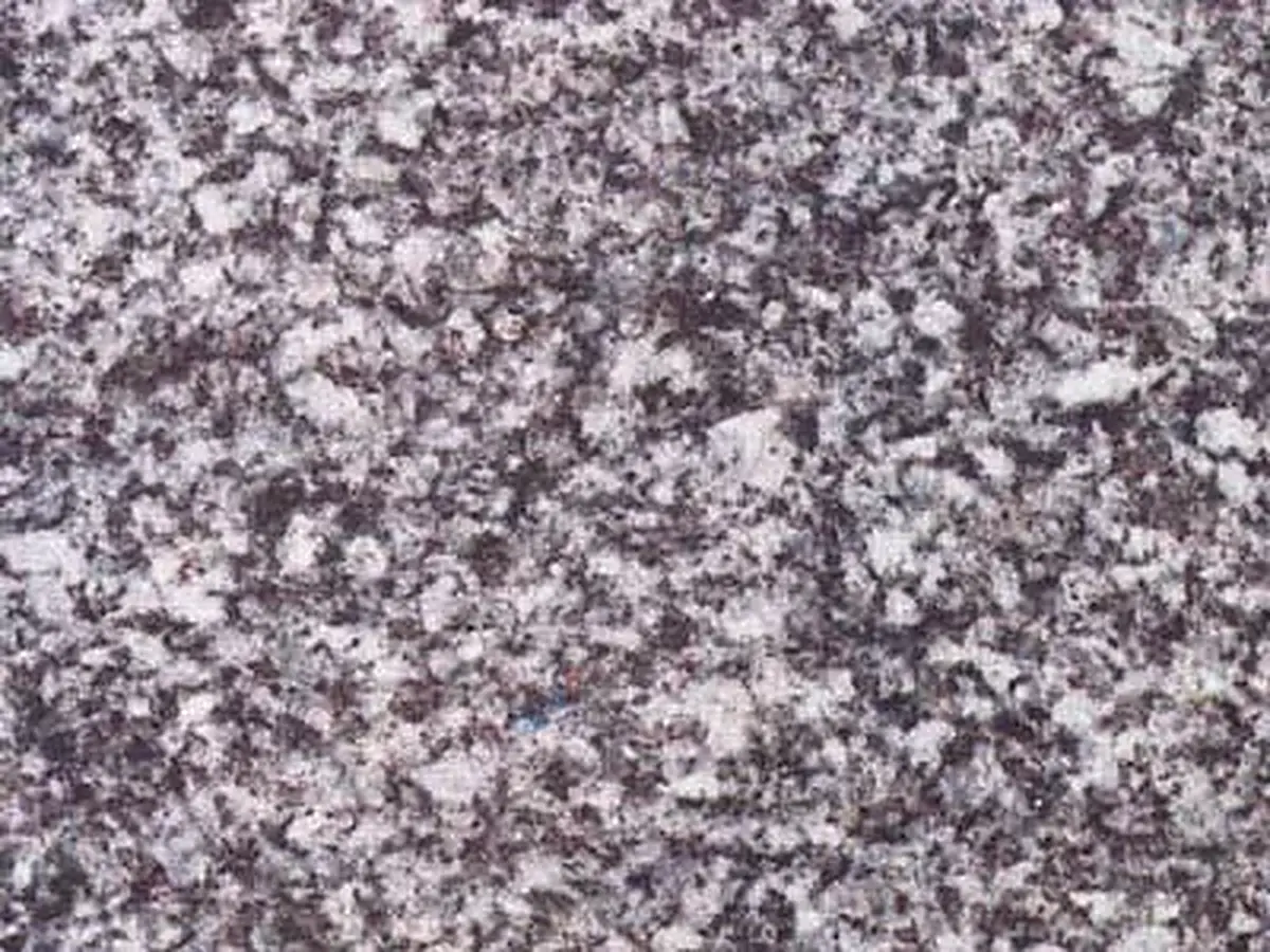 Gris Quintana granito, campione lucido – Marmi di Carrara – grigio, grigio chiaro (1)