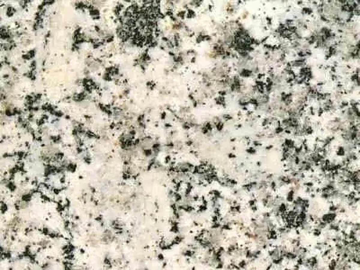 Gris Toledo granito, campione lucido – Marmi di Carrara – beige, grigio chiaro (1)